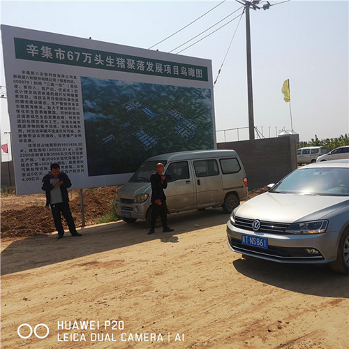 辛集市67萬頭生豬聚落采購樱桃视频大全鋼三柱樱桃TV在线观看